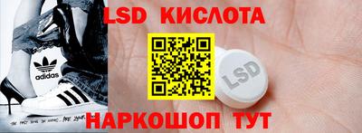 шишки Можга