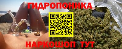 шишки Можга