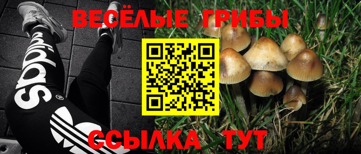 Галлюциногенные грибы Psilocybine cubensis  Вход с VPN  Урай 